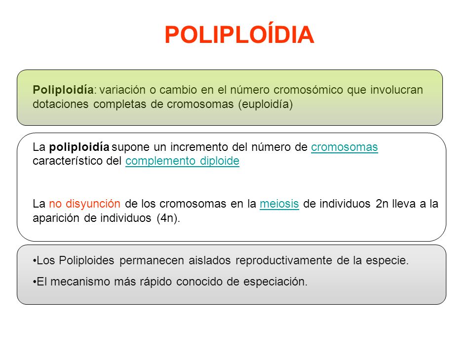 POLIPLOÍDIA Poliploidía: variación o cambio en el número cromosómico que involucran dotaciones completas de cromosomas (euploidía)