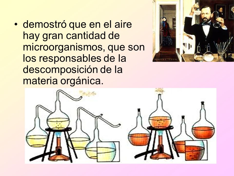 demostró que en el aire hay gran cantidad de microorganismos, que son los responsables de la descomposición de la materia orgánica.