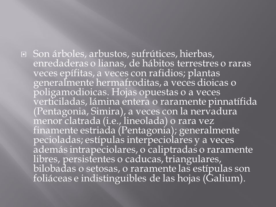 Son árboles, arbustos, sufrútices, hierbas, enredaderas o lianas, de hábitos terrestres o raras veces epífitas, a veces con rafidios; plantas generalmente hermafroditas, a veces dioicas o poligamodioicas.