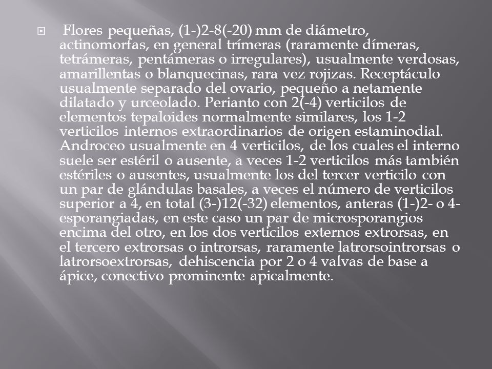 Flores pequeñas, (1-)2-8(-20) mm de diámetro, actinomorfas, en general trímeras (raramente dímeras, tetrámeras, pentámeras o irregulares), usualmente verdosas, amarillentas o blanquecinas, rara vez rojizas.