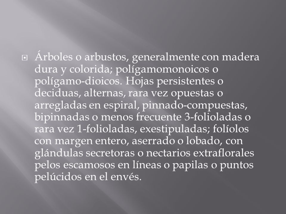 Árboles o arbustos, generalmente con madera dura y colorida; polígamomonoicos o polígamo-dioicos.
