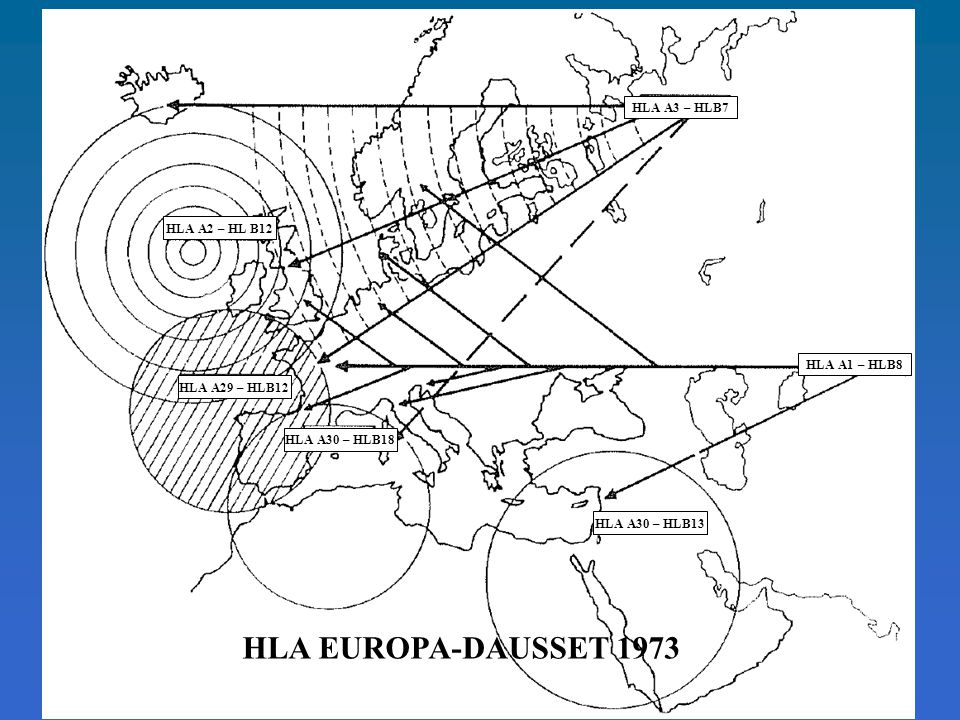 HLA EUROPA-DAUSSET 1973 HLA A3 – HLB7 HLA A2 – HL B12 HLA A1 – HLB8