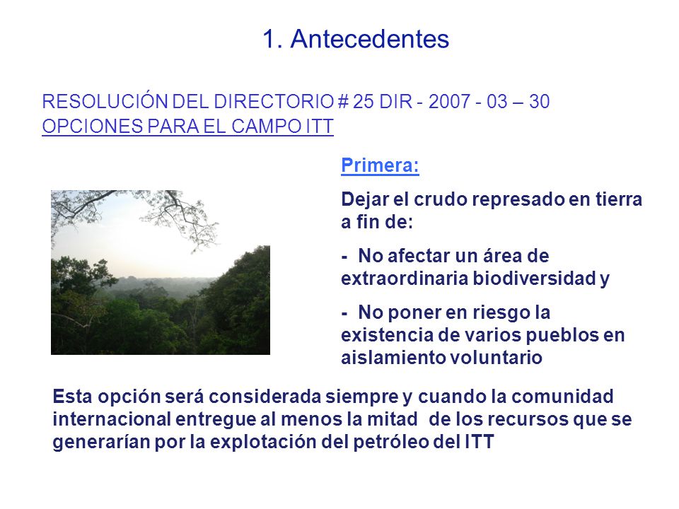 1. Antecedentes RESOLUCIÓN DEL DIRECTORIO # 25 DIR – 30