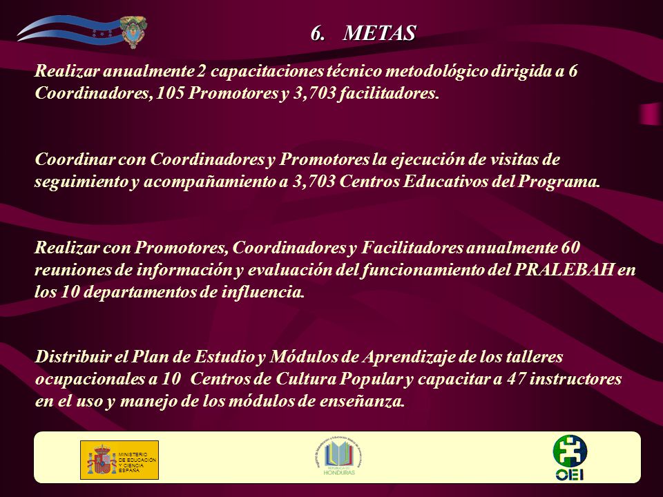 METAS Realizar anualmente 2 capacitaciones técnico metodológico dirigida a 6 Coordinadores, 105 Promotores y 3,703 facilitadores.