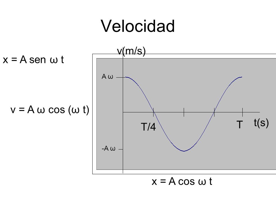 Velocidad v(m/s) x = A sen ω t v = A ω cos (ω t) t(s) T T/4