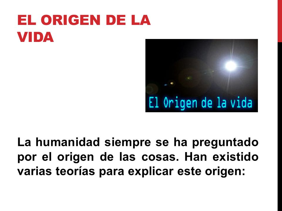 El origen de la vida La humanidad siempre se ha preguntado por el origen de las cosas.