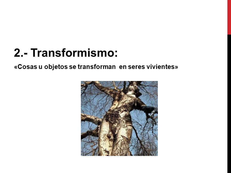 2.- Transformismo: «Cosas u objetos se transforman en seres vivientes»