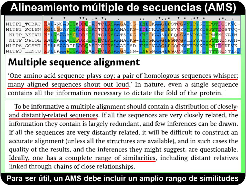 Para ser útil, un AMS debe incluir un amplio rango de similitudes
