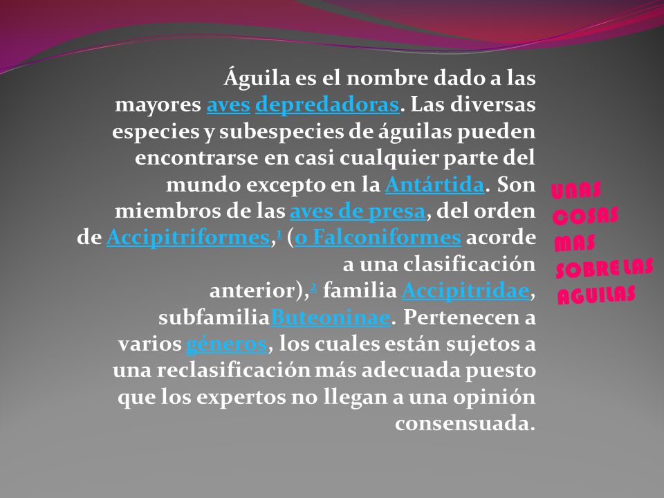 Águila es el nombre dado a las mayores aves depredadoras