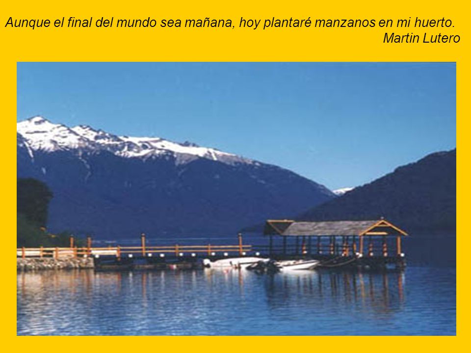 Aunque el final del mundo sea mañana, hoy plantaré manzanos en mi huerto. Martin Lutero