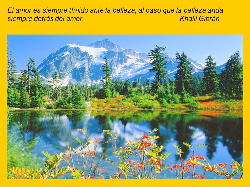 El amor es siempre tímido ante la belleza, al paso que la belleza anda siempre detrás del amor.