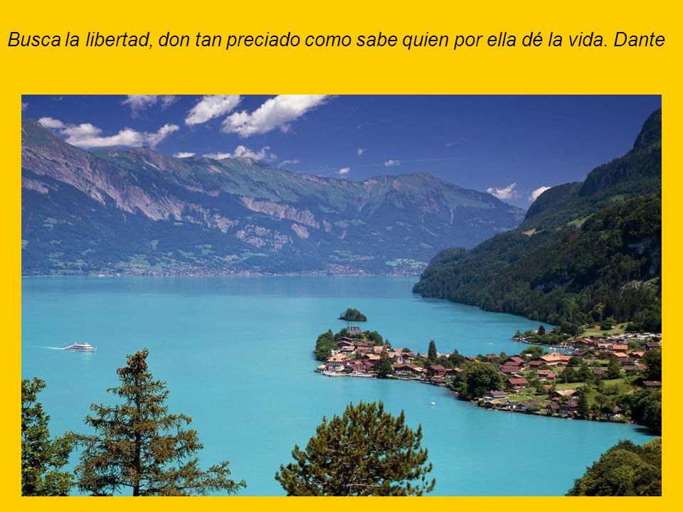 Busca la libertad, don tan preciado como sabe quien por ella dé la vida. Dante