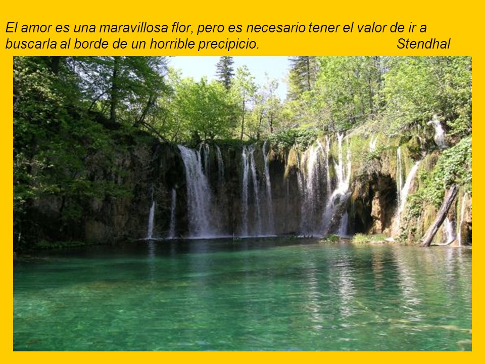 El amor es una maravillosa flor, pero es necesario tener el valor de ir a buscarla al borde de un horrible precipicio.