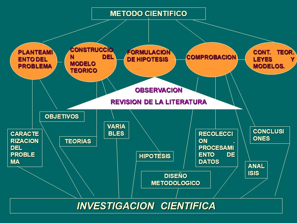 METODOLOGIA DE LA INVESTIGACION CIENTIFICA - ppt descargar