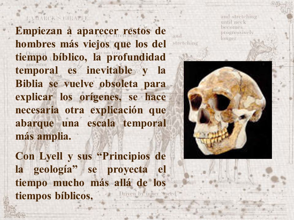 Empiezan a aparecer restos de hombres más viejos que los del tiempo bíblico, la profundidad temporal es inevitable y la Biblia se vuelve obsoleta para explicar los orígenes, se hace necesaria otra explicación que abarque una escala temporal más amplia.