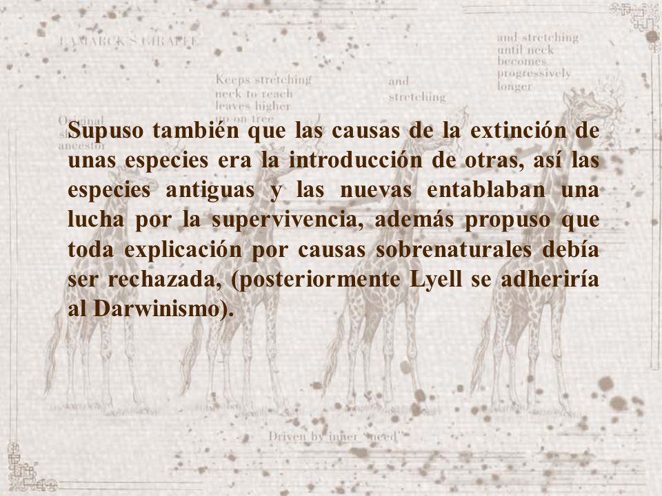 Supuso también que las causas de la extinción de unas especies era la introducción de otras, así las especies antiguas y las nuevas entablaban una lucha por la supervivencia, además propuso que toda explicación por causas sobrenaturales debía ser rechazada, (posteriormente Lyell se adheriría al Darwinismo).