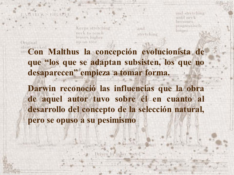 Con Malthus la concepción evolucionista de que los que se adaptan subsisten, los que no desaparecen empieza a tomar forma.