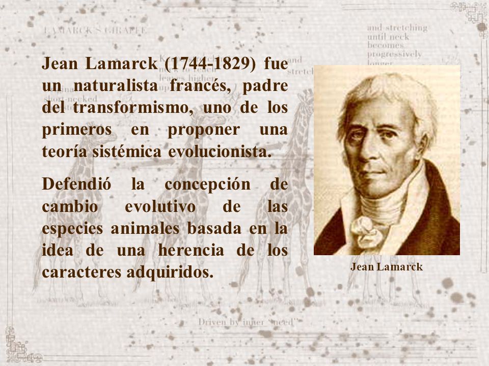 Jean Lamarck ( ) fue un naturalista francés, padre del transformismo, uno de los primeros en proponer una teoría sistémica evolucionista.