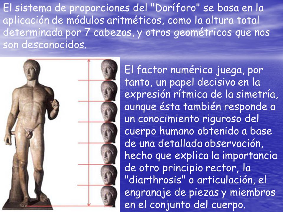 El sistema de proporciones del Doríforo se basa en la aplicación de módulos aritméticos, como la altura total determinada por 7 cabezas, y otros geométricos que nos son desconocidos.