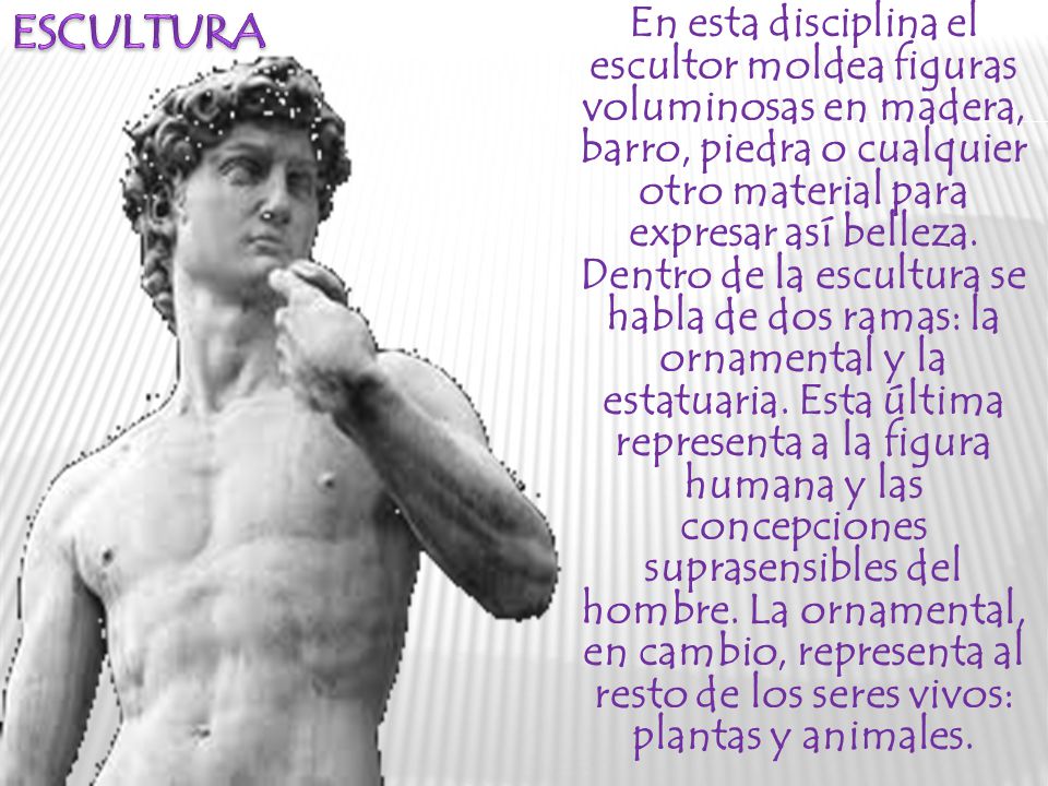 En esta disciplina el escultor moldea figuras voluminosas en madera, barro, piedra o cualquier otro material para expresar así belleza. Dentro de la escultura se habla de dos ramas: la ornamental y la estatuaria. Esta última representa a la figura humana y las concepciones suprasensibles del hombre. La ornamental, en cambio, representa al resto de los seres vivos: plantas y animales.