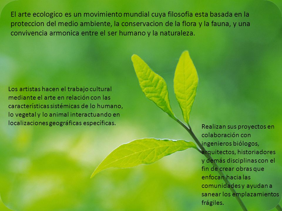 El arte ecologico es un movimiento mundial cuya filosofia esta basada en la proteccion del medio ambiente, la conservacion de la flora y la fauna, y una convivencia armonica entre el ser humano y la naturaleza.