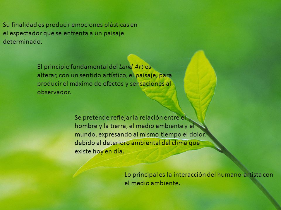 Su finalidad es producir emociones plásticas en el espectador que se enfrenta a un paisaje determinado.