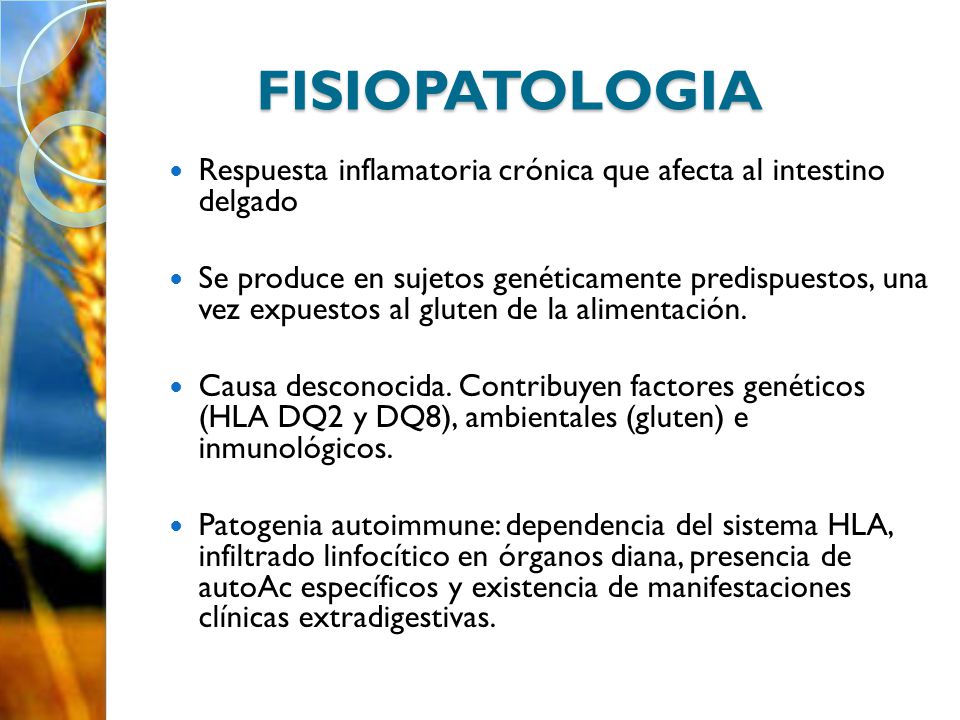 FISIOPATOLOGIA Respuesta inflamatoria crónica que afecta al intestino delgado.