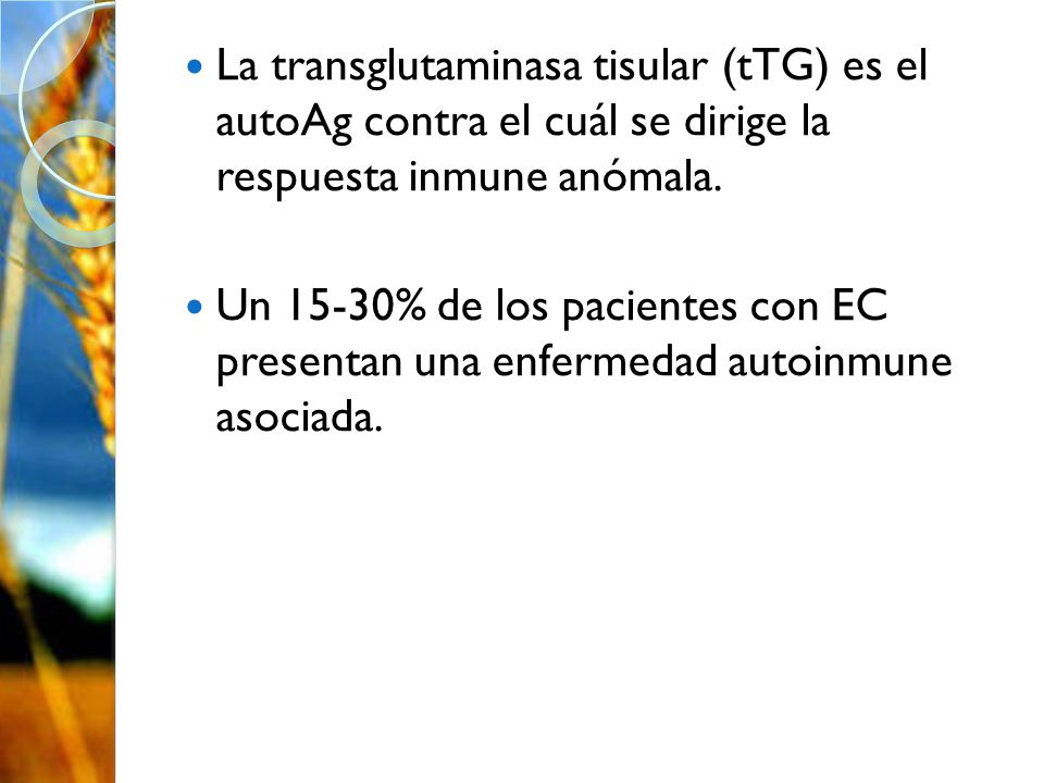La transglutaminasa tisular (tTG) es el autoAg contra el cuál se dirige la respuesta inmune anómala.