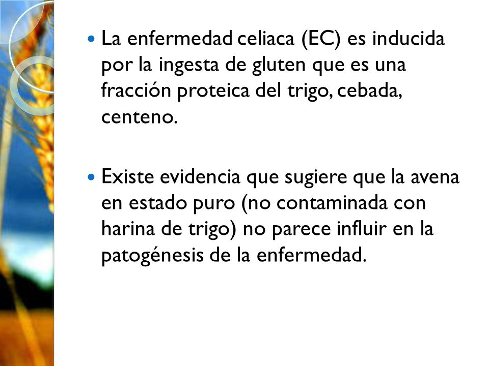 La enfermedad celiaca (EC) es inducida por la ingesta de gluten que es una fracción proteica del trigo, cebada, centeno.