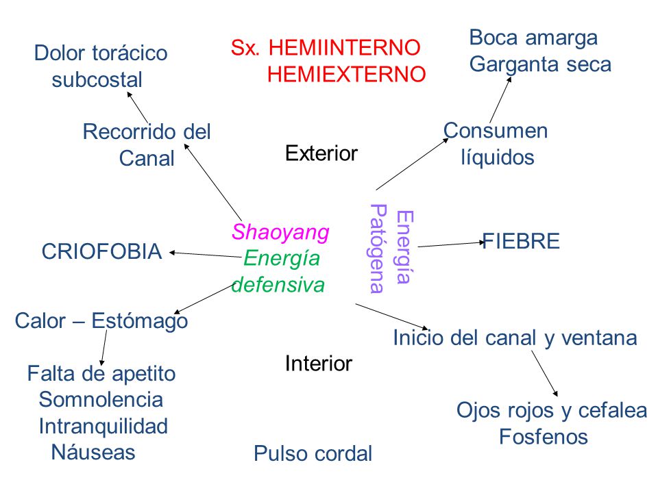 Boca amarga Garganta seca. Sx. HEMIINTERNO. HEMIEXTERNO. Exterior. Shaoyang. Energía. defensiva.
