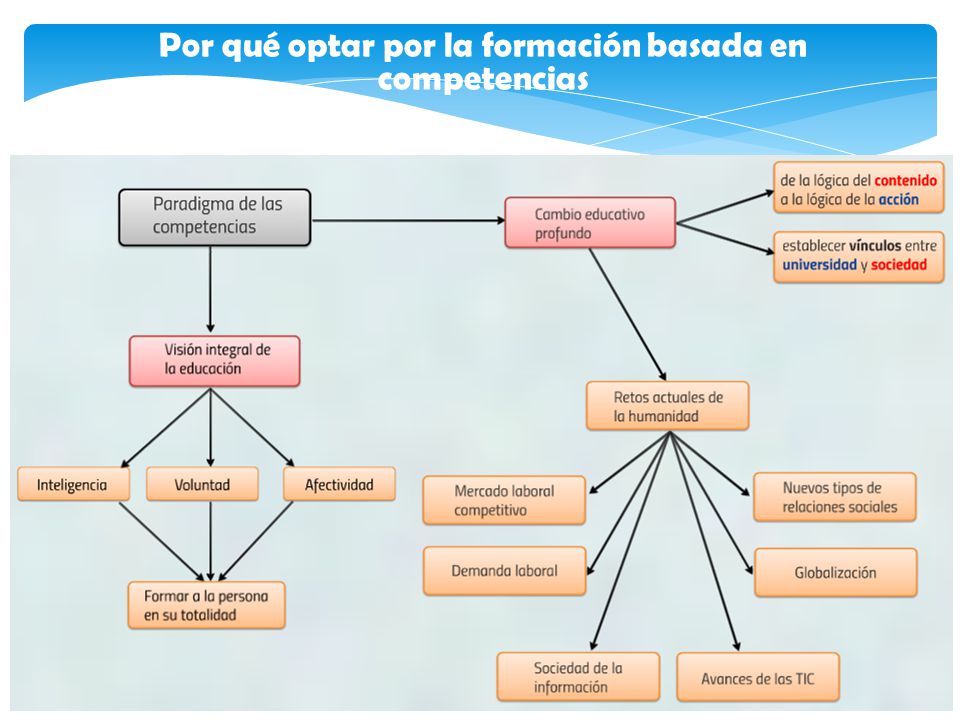 Por qué optar por la formación basada en competencias