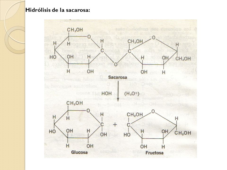 Hidrólisis de la sacarosa:
