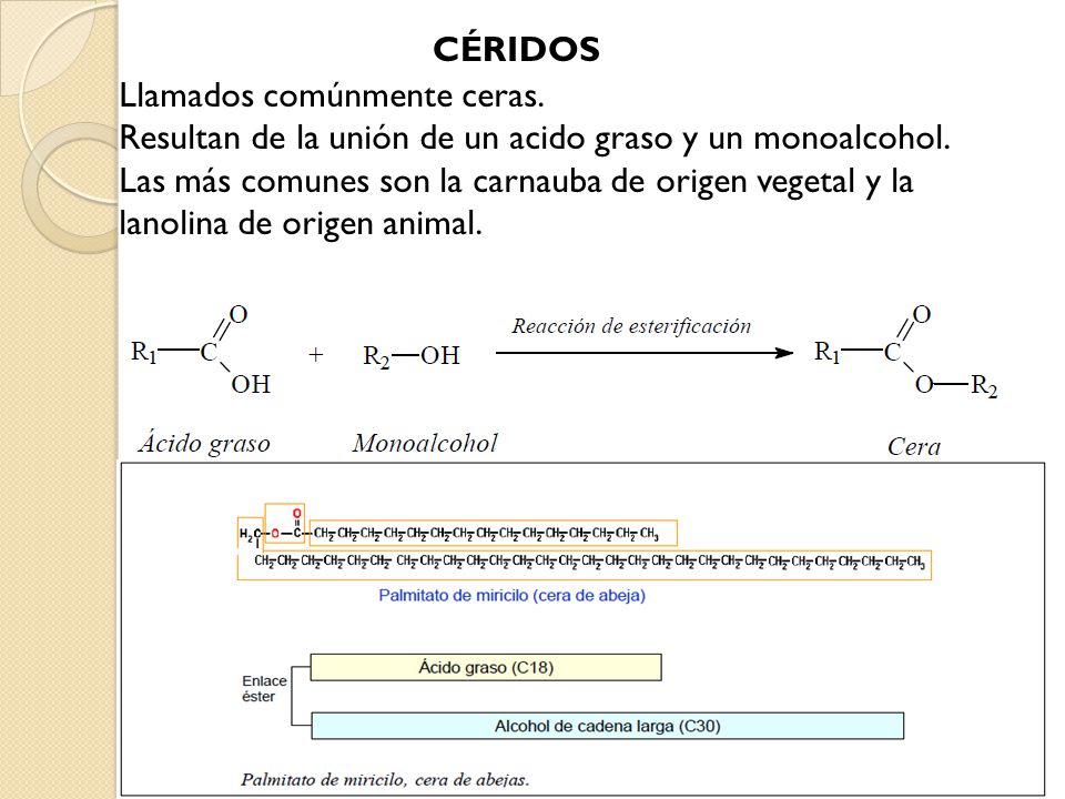 CÉRIDOS Llamados comúnmente ceras. Resultan de la unión de un acido graso y un monoalcohol.