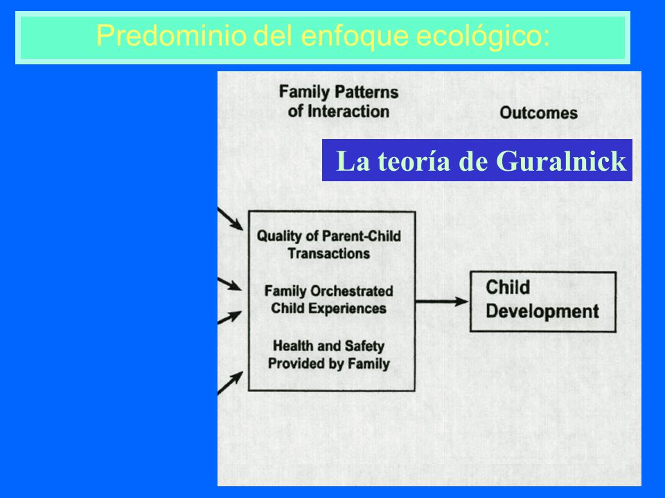 Predominio del enfoque ecológico: