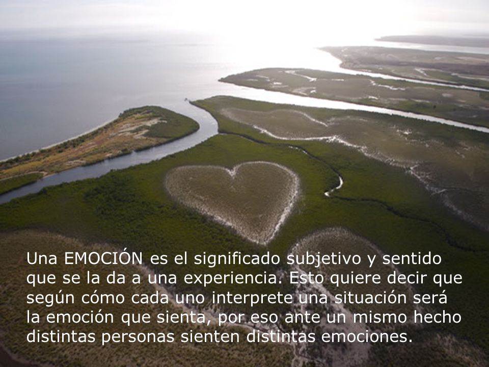Una EMOCIÓN es el significado subjetivo y sentido que se la da a una experiencia. Esto quiere decir que según cómo cada uno interprete una situación será la emoción que sienta, por eso ante un mismo hecho distintas personas sienten distintas emociones.