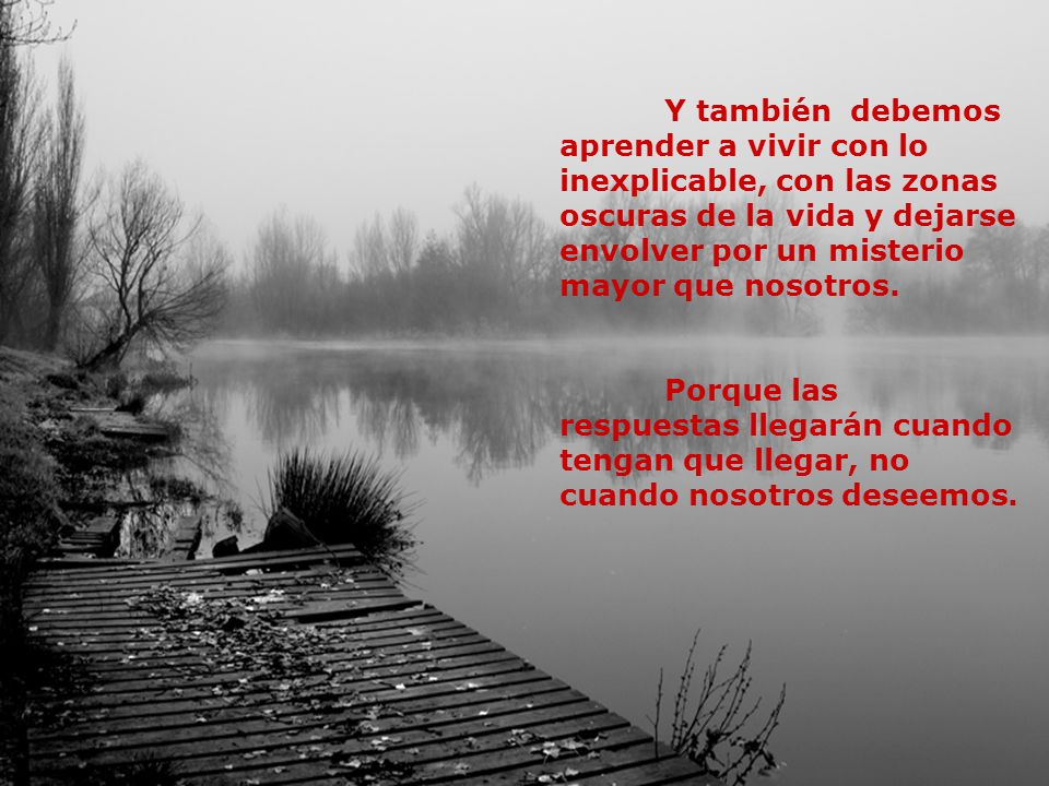 Y también debemos aprender a vivir con lo inexplicable, con las zonas oscuras de la vida y dejarse envolver por un misterio mayor que nosotros.