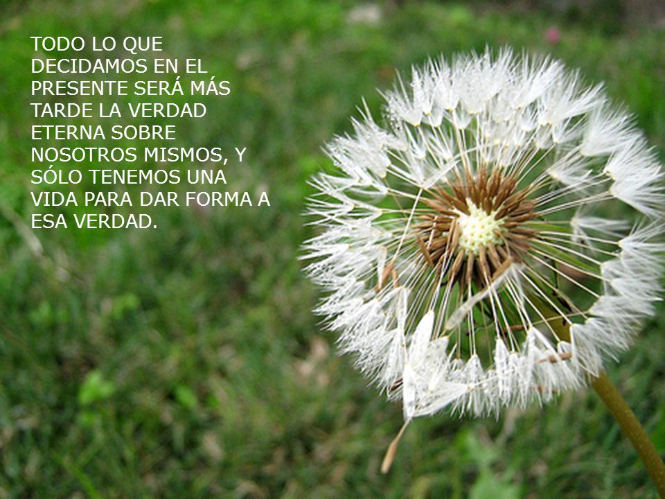TODO LO QUE DECIDAMOS EN EL PRESENTE SERÁ MÁS TARDE LA VERDAD ETERNA SOBRE NOSOTROS MISMOS, Y SÓLO TENEMOS UNA VIDA PARA DAR FORMA A ESA VERDAD.