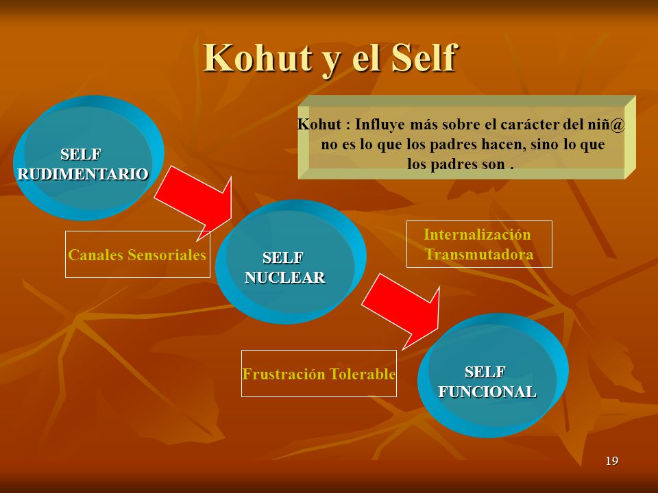Kohut y el Self Kohut : Influye más sobre el carácter del