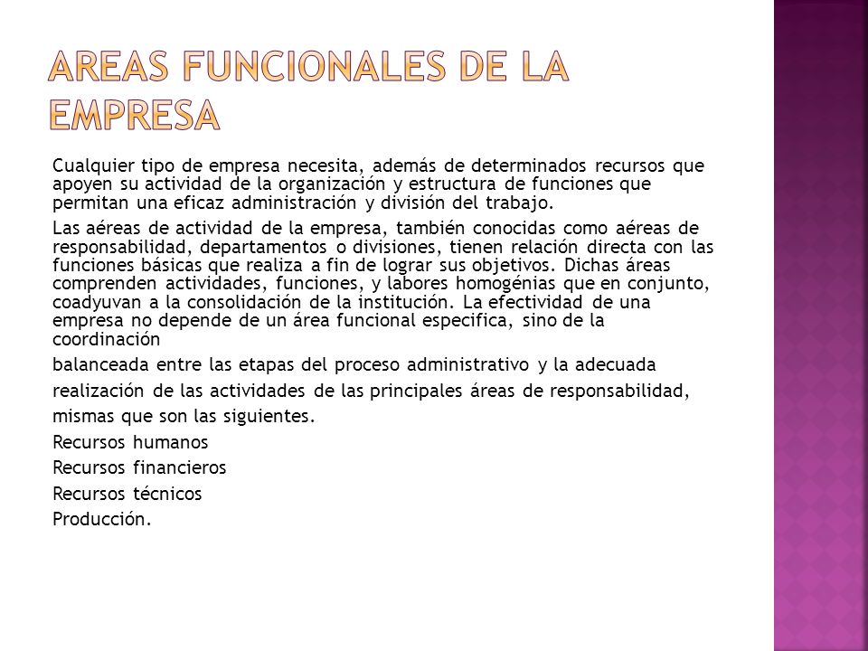 AREAS FUNCIONALES DE LA EMPRESA