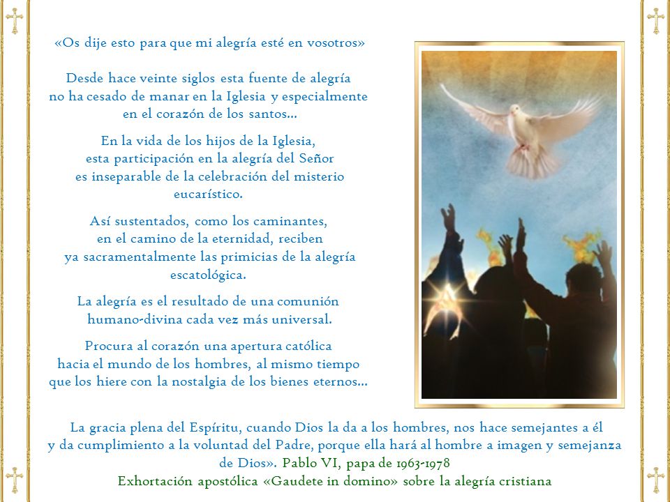 «Os dije esto para que mi alegría esté en vosotros»