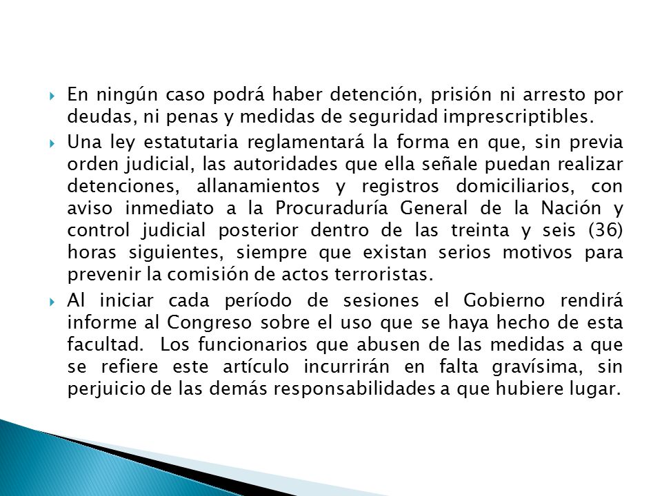 En ningún caso podrá haber detención, prisión ni arresto por deudas, ni penas y medidas de seguridad imprescriptibles.