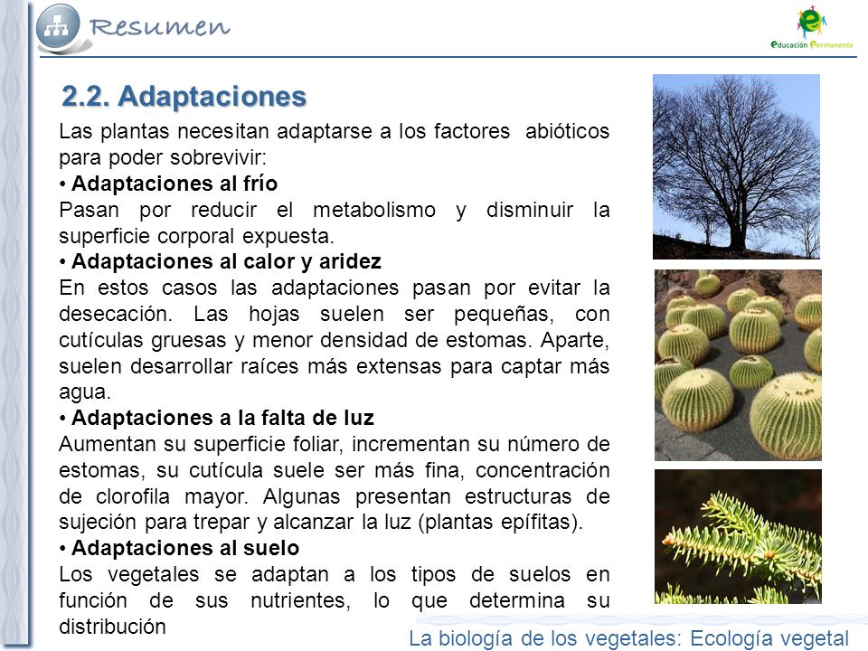 2.2. Adaptaciones Las plantas necesitan adaptarse a los factores abióticos para poder sobrevivir: Adaptaciones al frío.