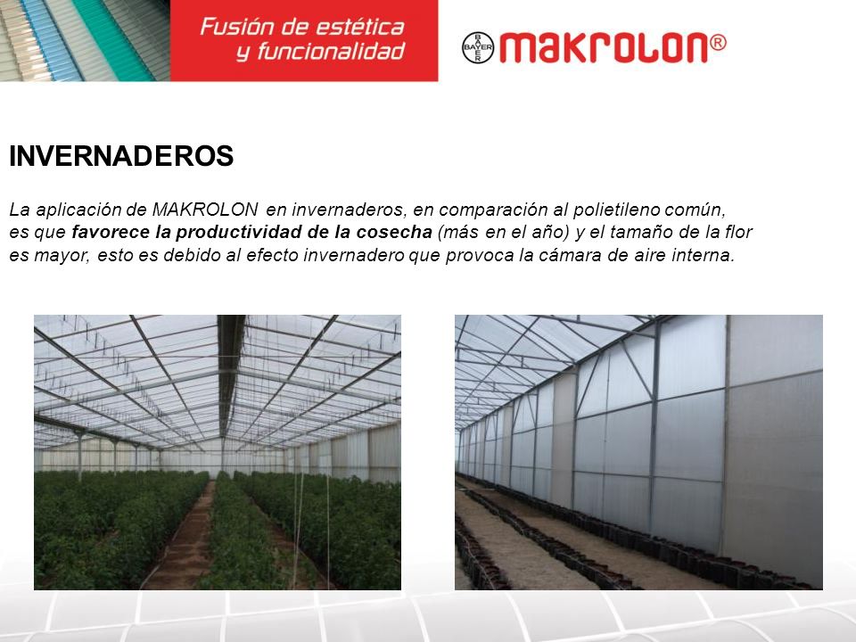 INVERNADEROS La aplicación de MAKROLON en invernaderos, en comparación al polietileno común,