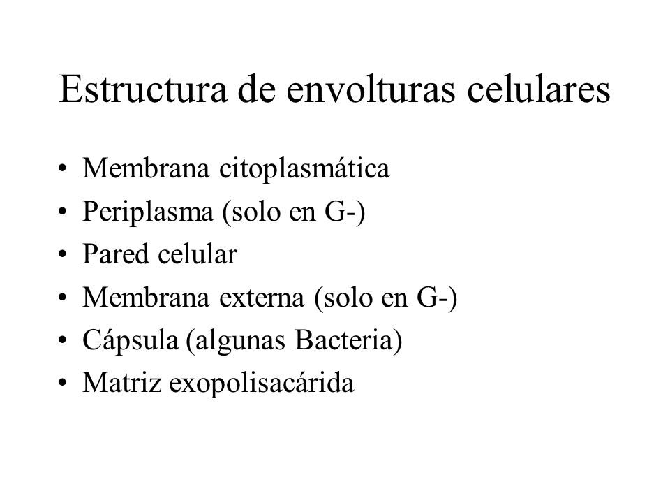 Estructura de envolturas celulares