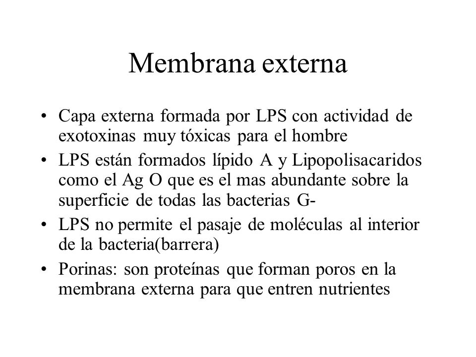 Membrana externa Capa externa formada por LPS con actividad de exotoxinas muy tóxicas para el hombre.