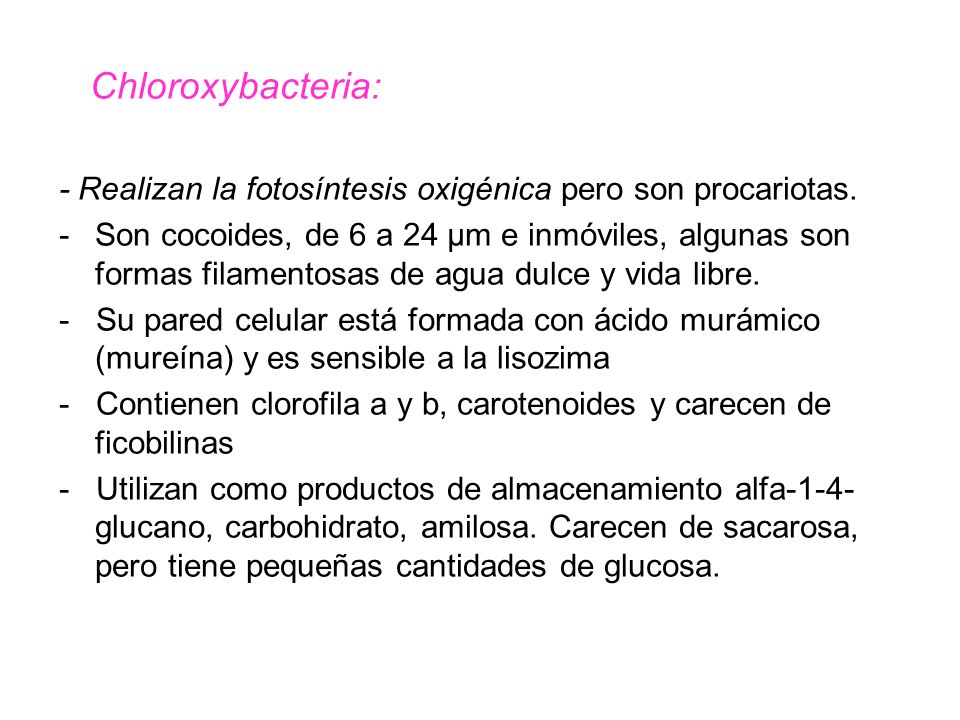Chloroxybacteria: - Realizan la fotosíntesis oxigénica pero son procariotas.