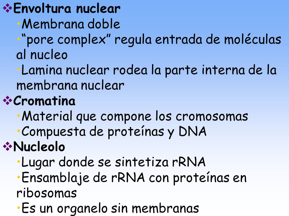 Envoltura nuclear Membrana doble. pore complex regula entrada de moléculas al nucleo.