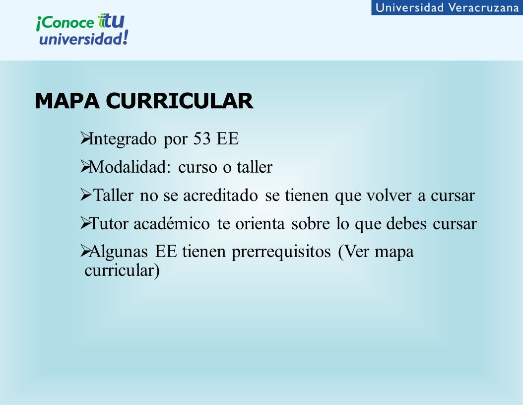 MAPA CURRICULAR Integrado por 53 EE Modalidad: curso o taller