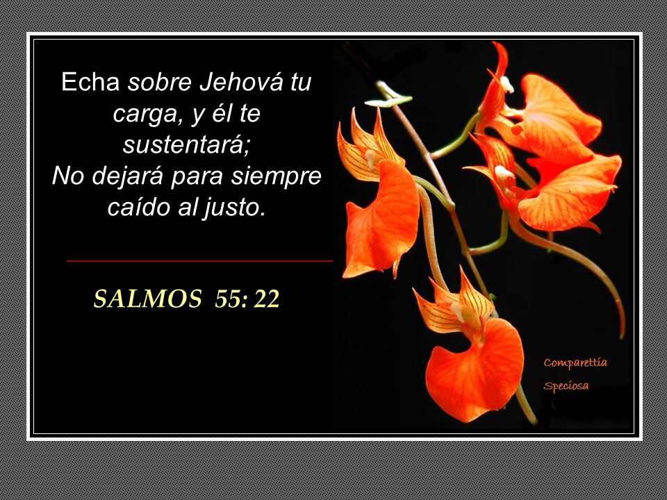 Echa sobre Jehová tu carga, y él te sustentará; No dejará para siempre caído al justo.