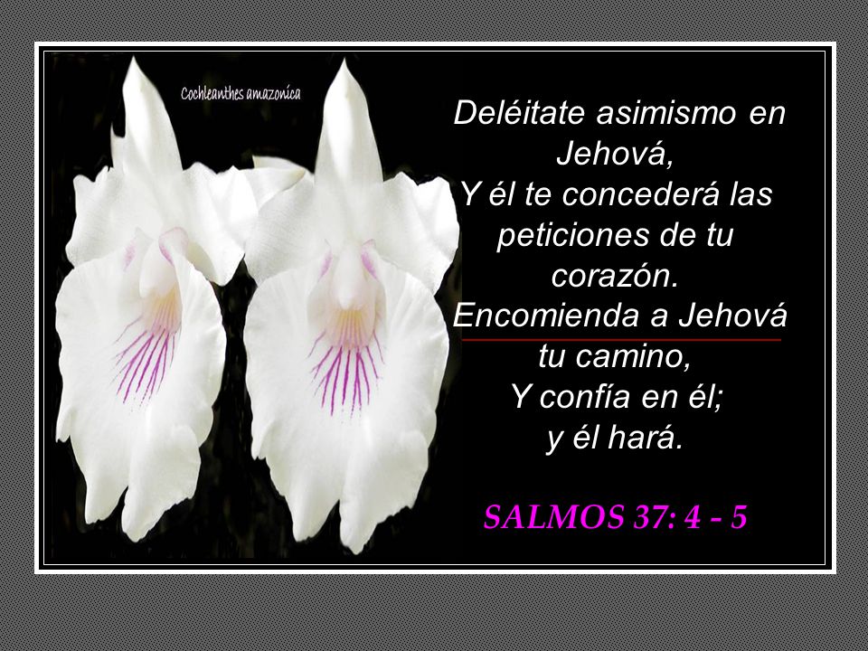 Deléitate asimismo en Jehová, Y él te concederá las peticiones de tu corazón. Encomienda a Jehová tu camino, Y confía en él;